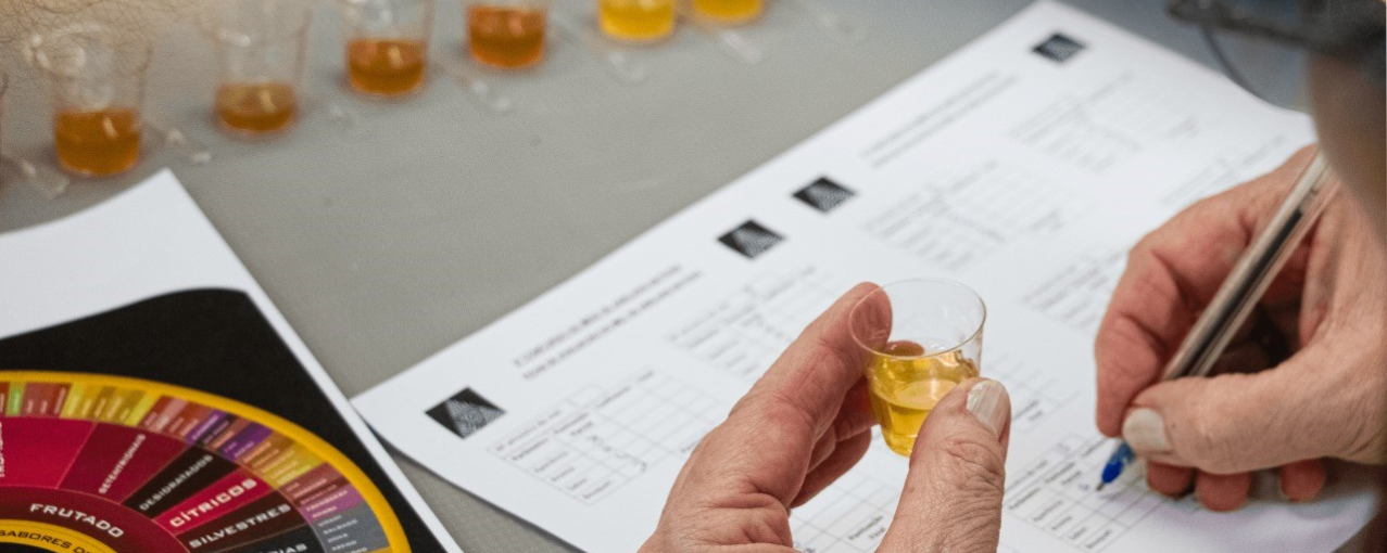 imagem divulgação curso